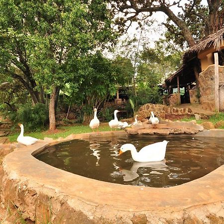 Naiberi River Campsite & Resort 엘도레트 외부 사진